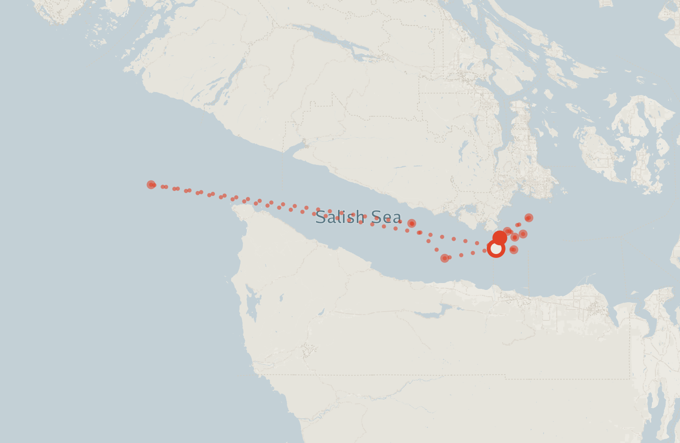 Activity map — real sighting points on an OpenStreetMap basemap