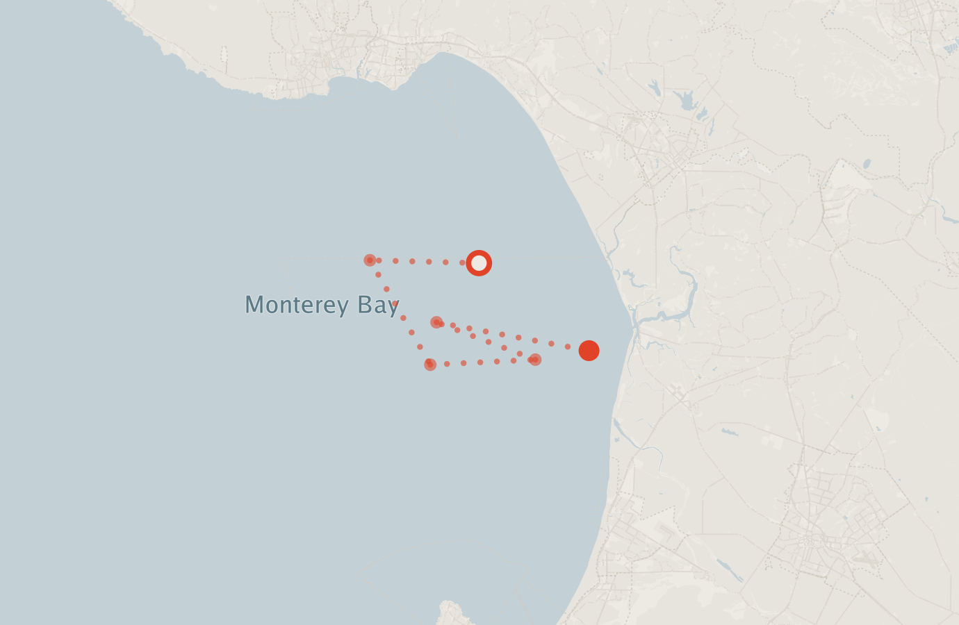 Activity map — real sighting points on an OpenStreetMap basemap
