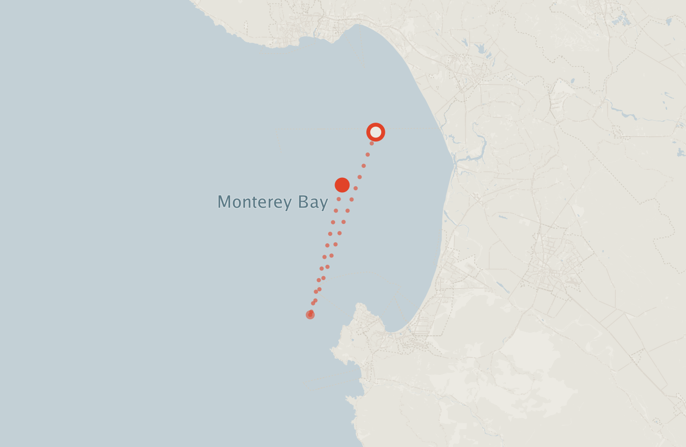 Activity map — real sighting points on an OpenStreetMap basemap