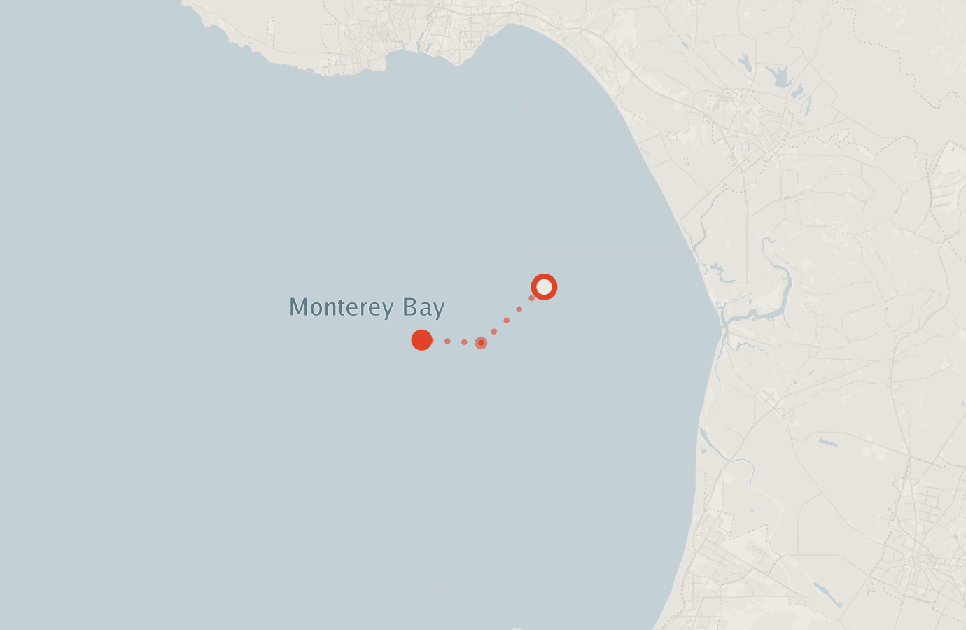 Activity map — real sighting points on an OpenStreetMap basemap