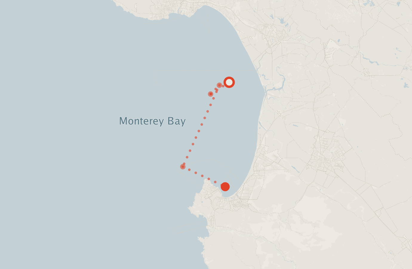 Activity map — real sighting points on an OpenStreetMap basemap