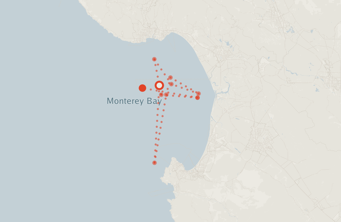 Activity map — real sighting points on an OpenStreetMap basemap