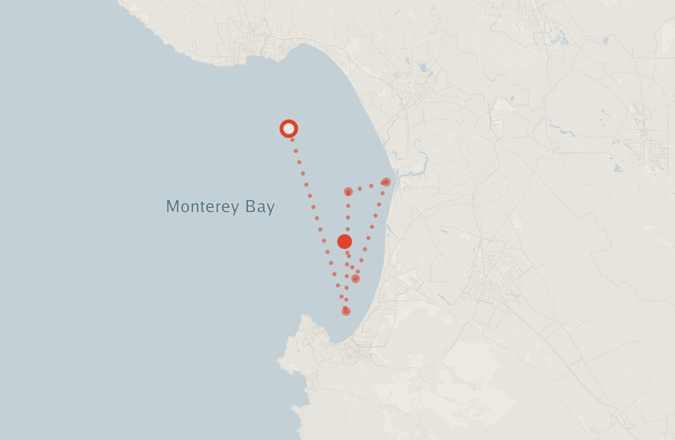 Activity map — real sighting points on an OpenStreetMap basemap