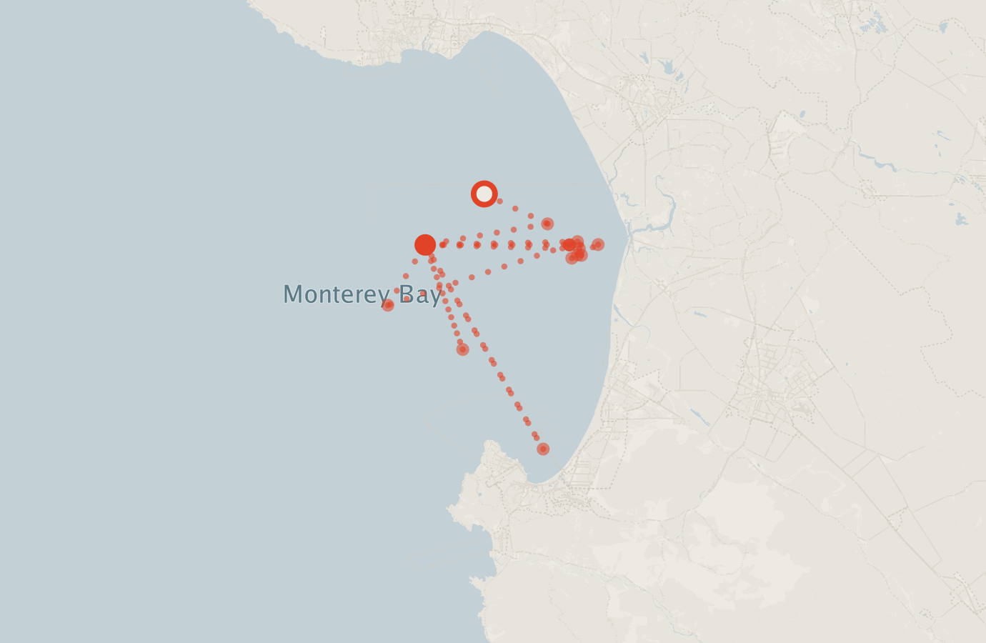 Activity map — real sighting points on an OpenStreetMap basemap