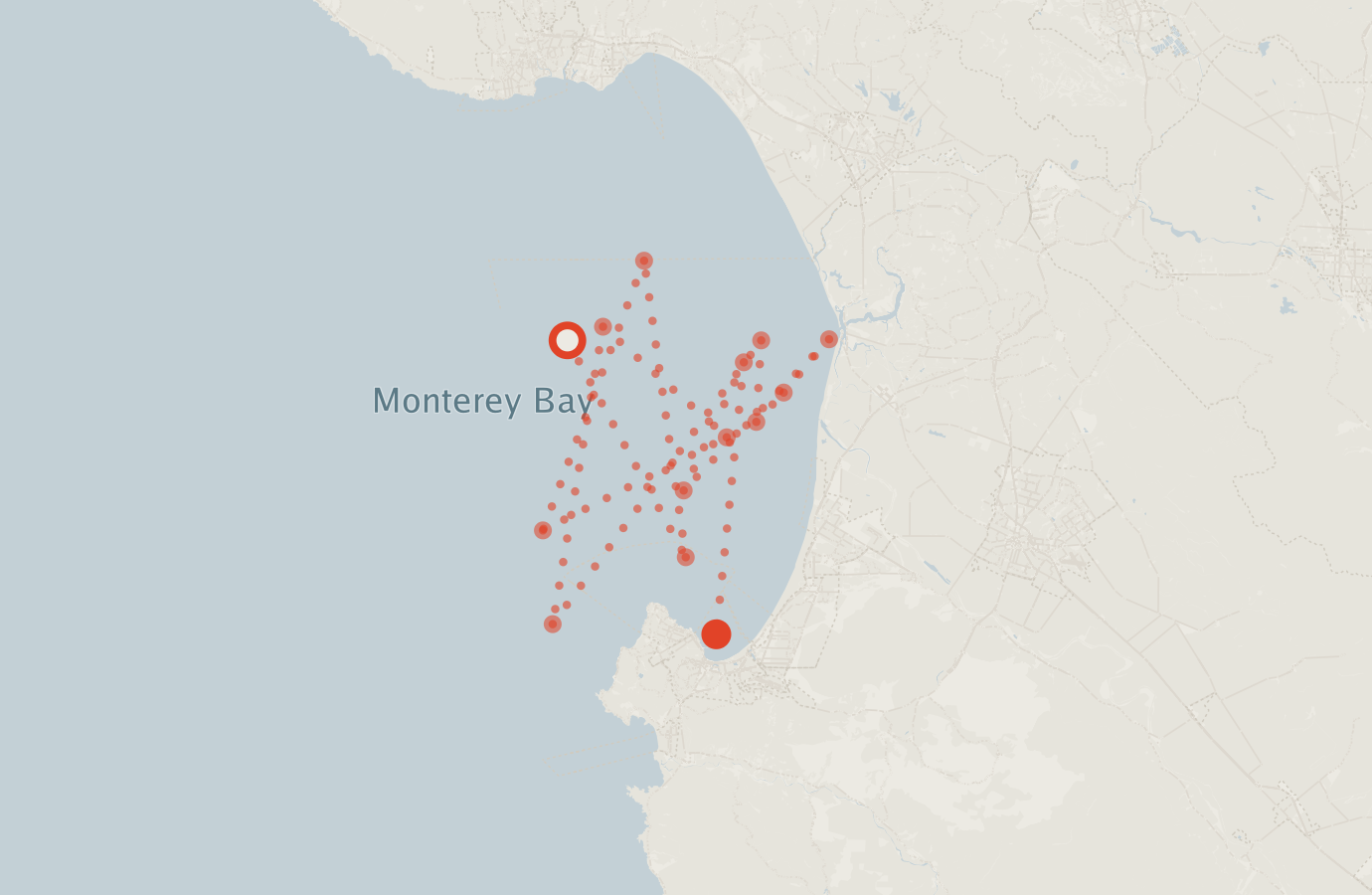 Activity map — real sighting points on an OpenStreetMap basemap