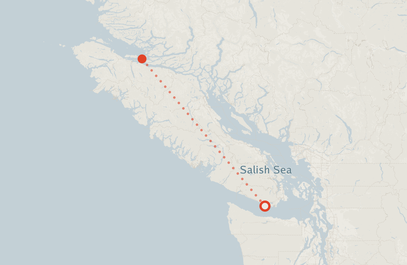 Activity map — real sighting points on an OpenStreetMap basemap