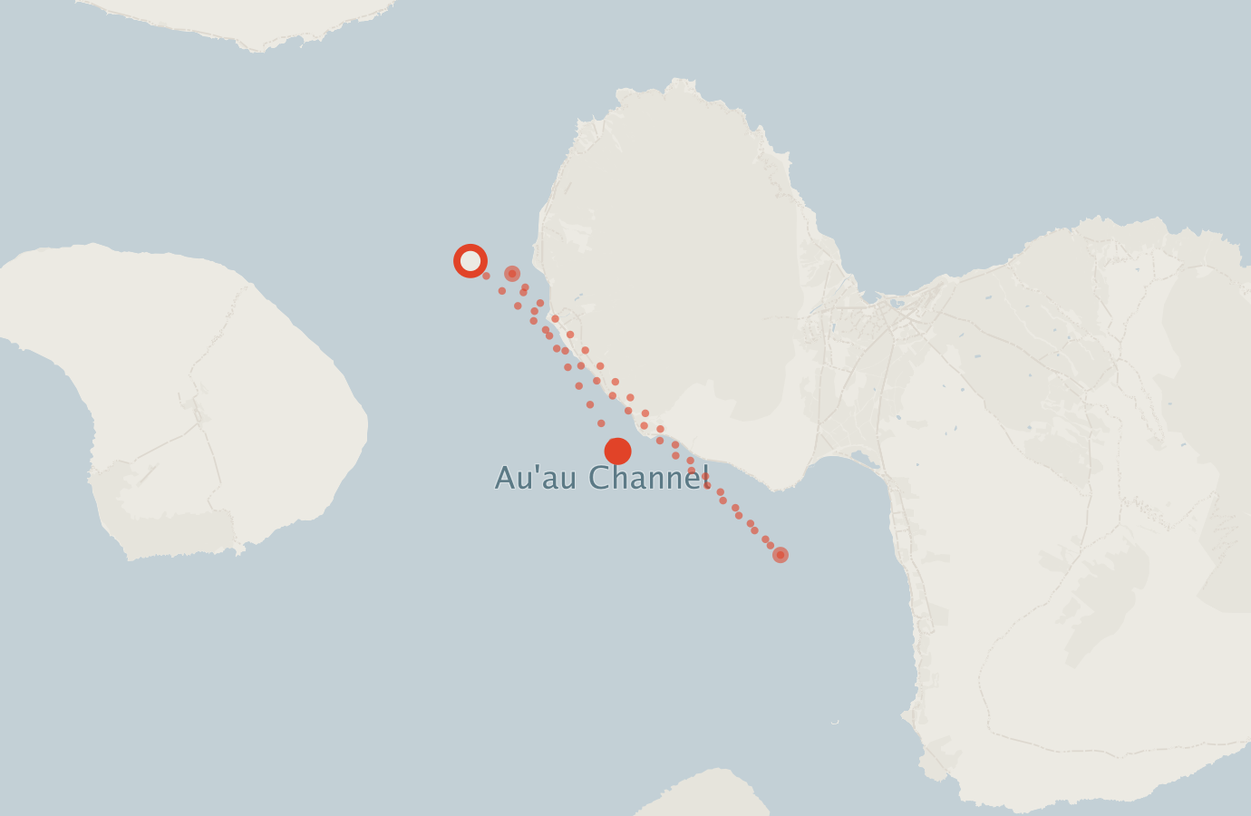 Activity map — real sighting points on an OpenStreetMap basemap