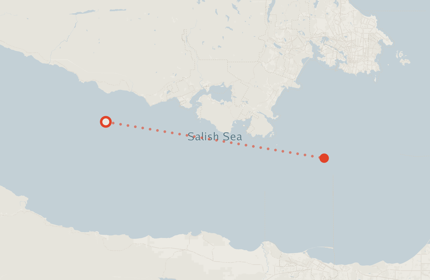 Activity map — real sighting points on an OpenStreetMap basemap