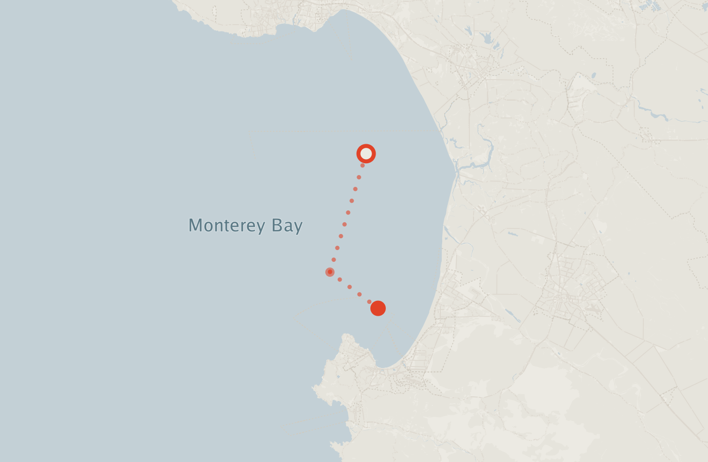 Activity map — real sighting points on an OpenStreetMap basemap