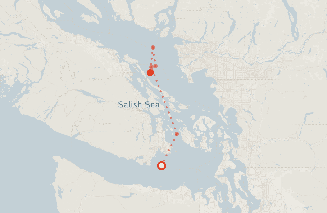 Activity map — real sighting points on an OpenStreetMap basemap