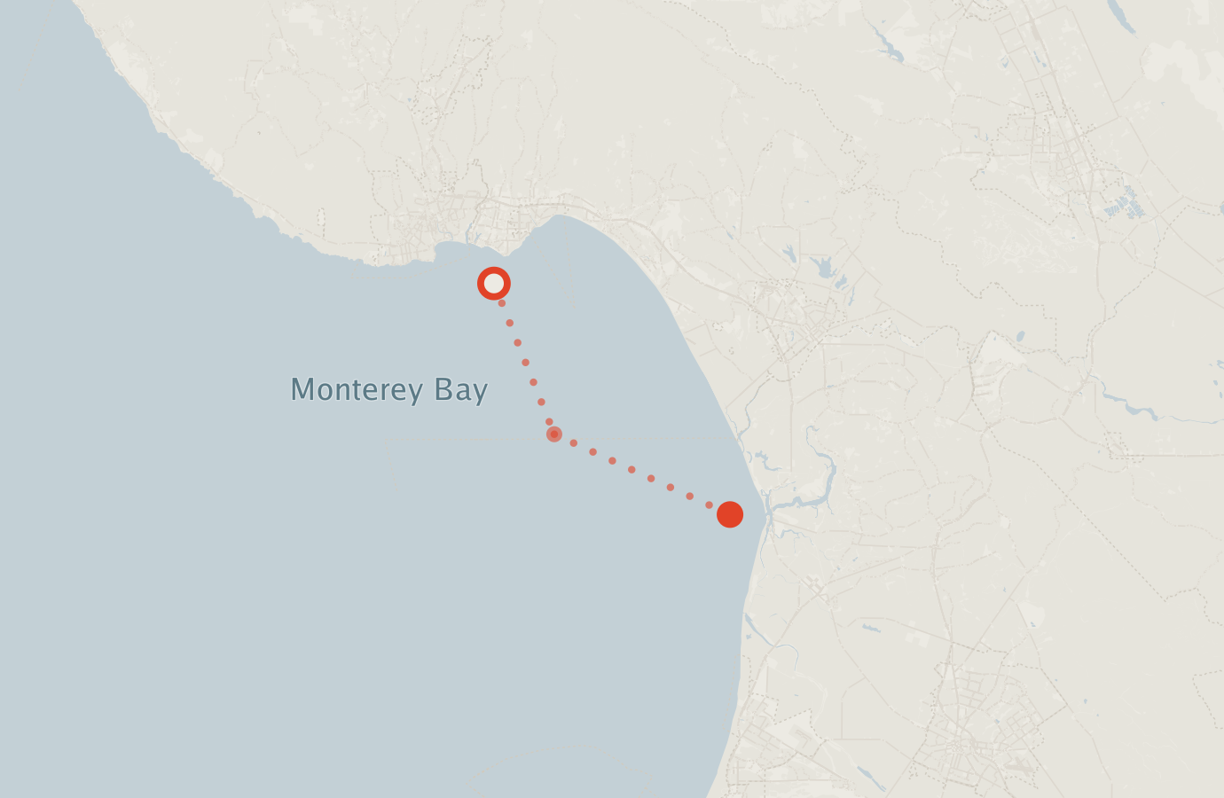 Activity map — real sighting points on an OpenStreetMap basemap