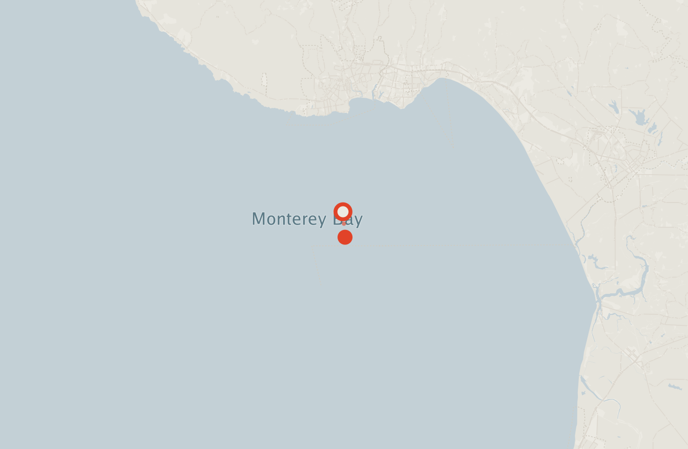 Activity map — real sighting points on an OpenStreetMap basemap
