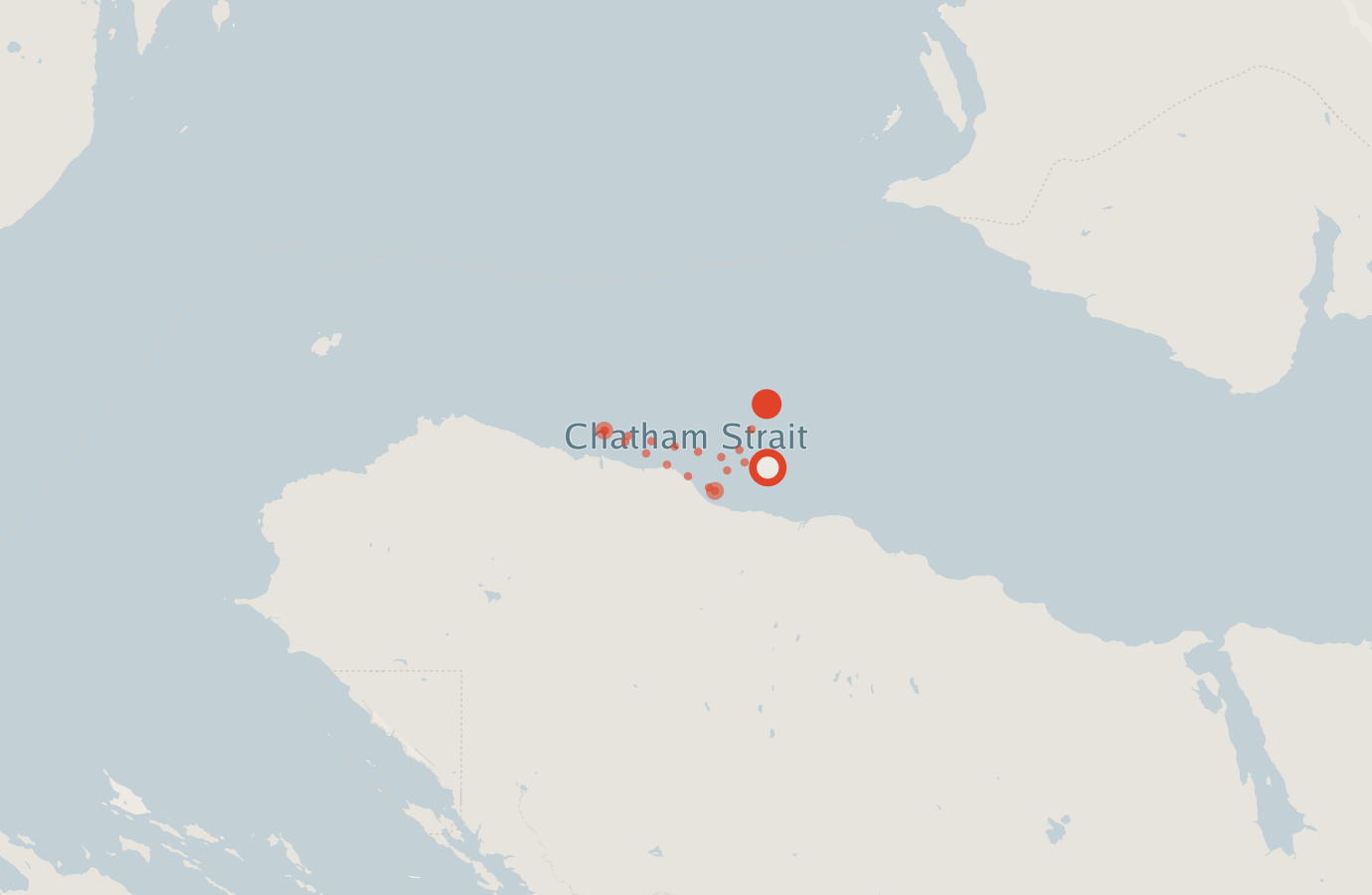 Activity map — real sighting points on an OpenStreetMap basemap
