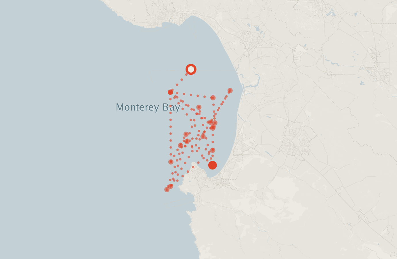 Activity map — real sighting points on an OpenStreetMap basemap