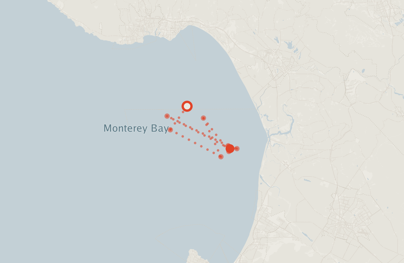 Activity map — real sighting points on an OpenStreetMap basemap