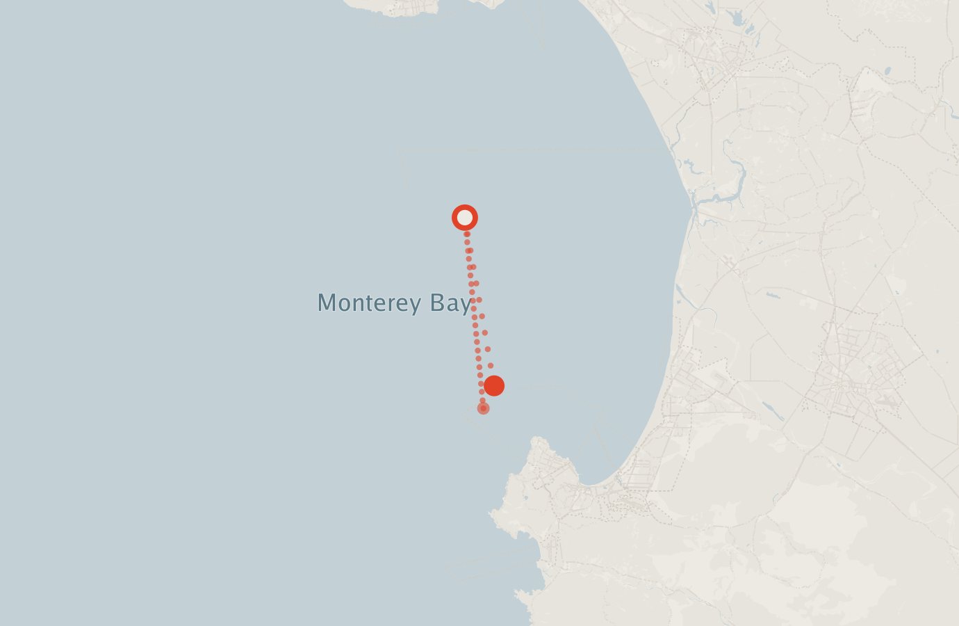 Activity map — real sighting points on an OpenStreetMap basemap