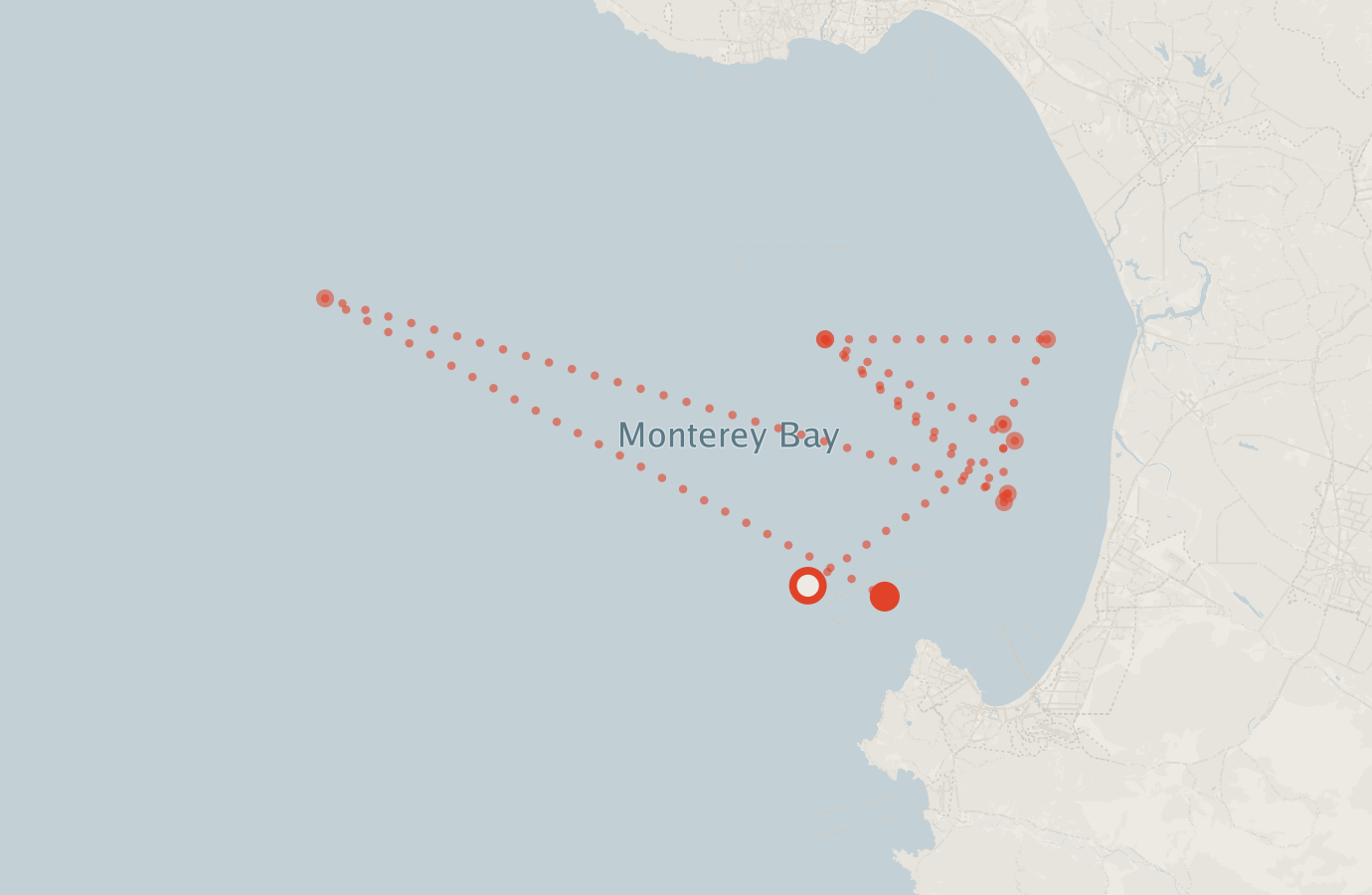 Activity map — real sighting points on an OpenStreetMap basemap
