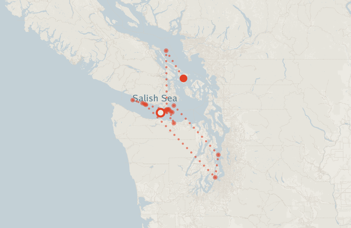 Activity map — real sighting points on an OpenStreetMap basemap
