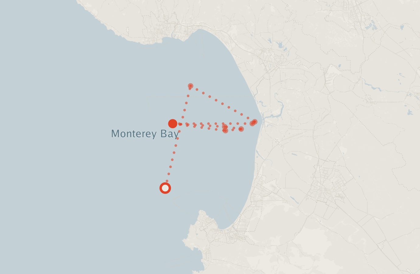 Activity map — real sighting points on an OpenStreetMap basemap