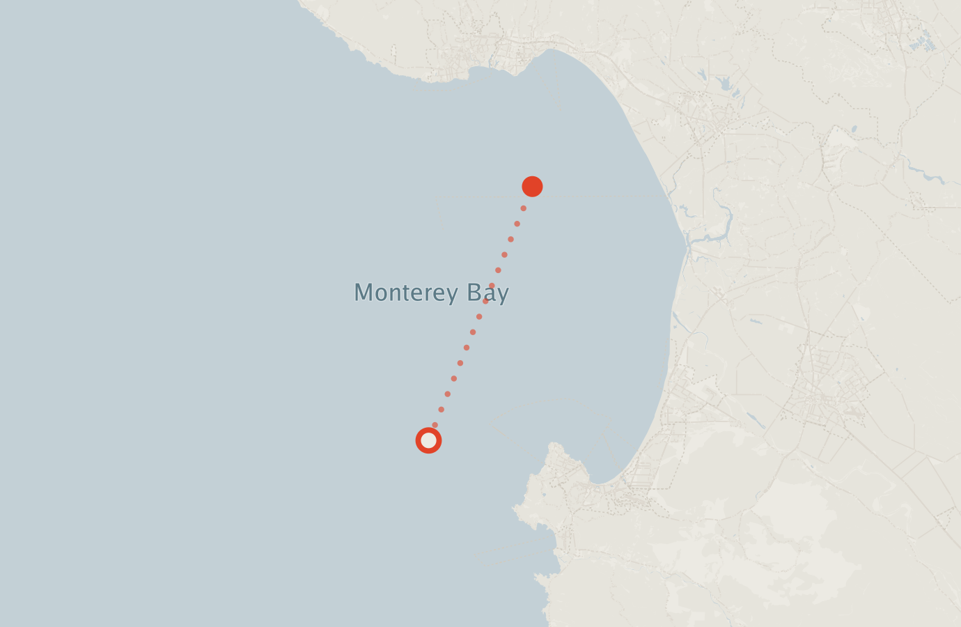 Activity map — real sighting points on an OpenStreetMap basemap