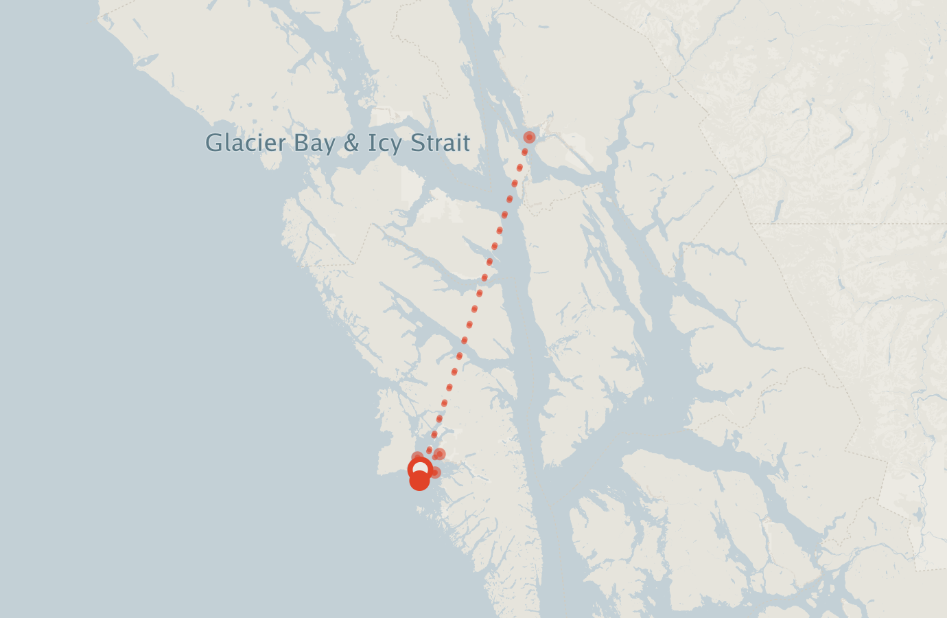 Activity map — real sighting points on an OpenStreetMap basemap