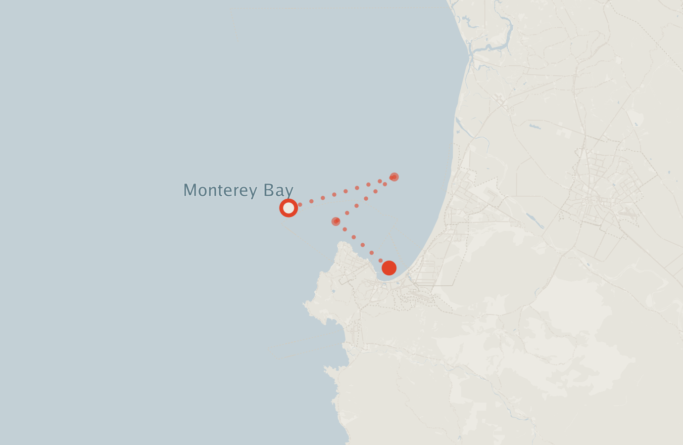 Activity map — real sighting points on an OpenStreetMap basemap