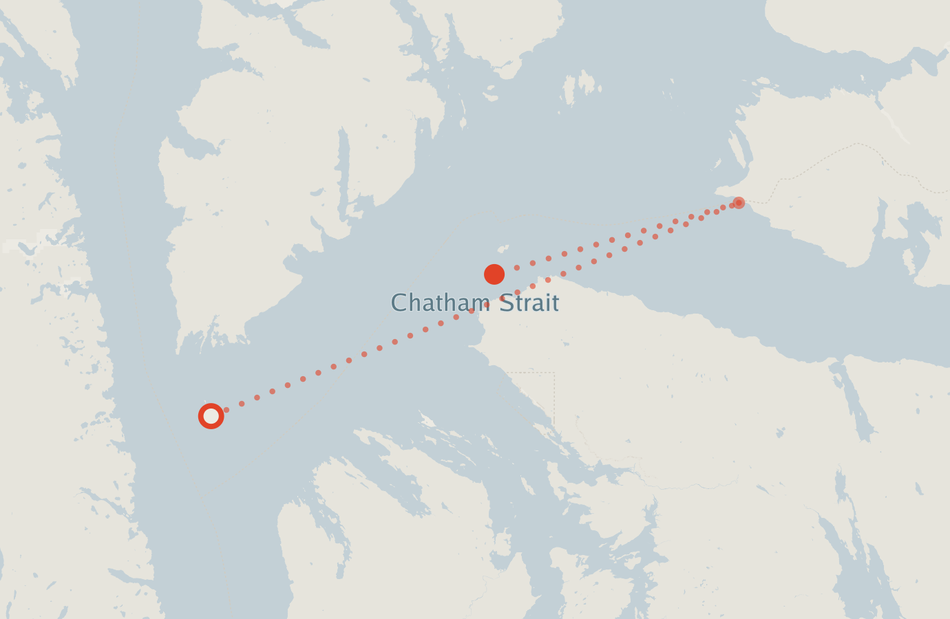 Activity map — real sighting points on an OpenStreetMap basemap