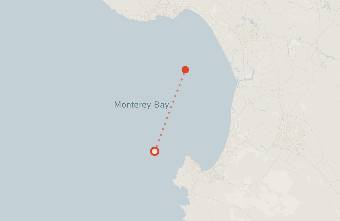 Activity map — real sighting points on an OpenStreetMap basemap