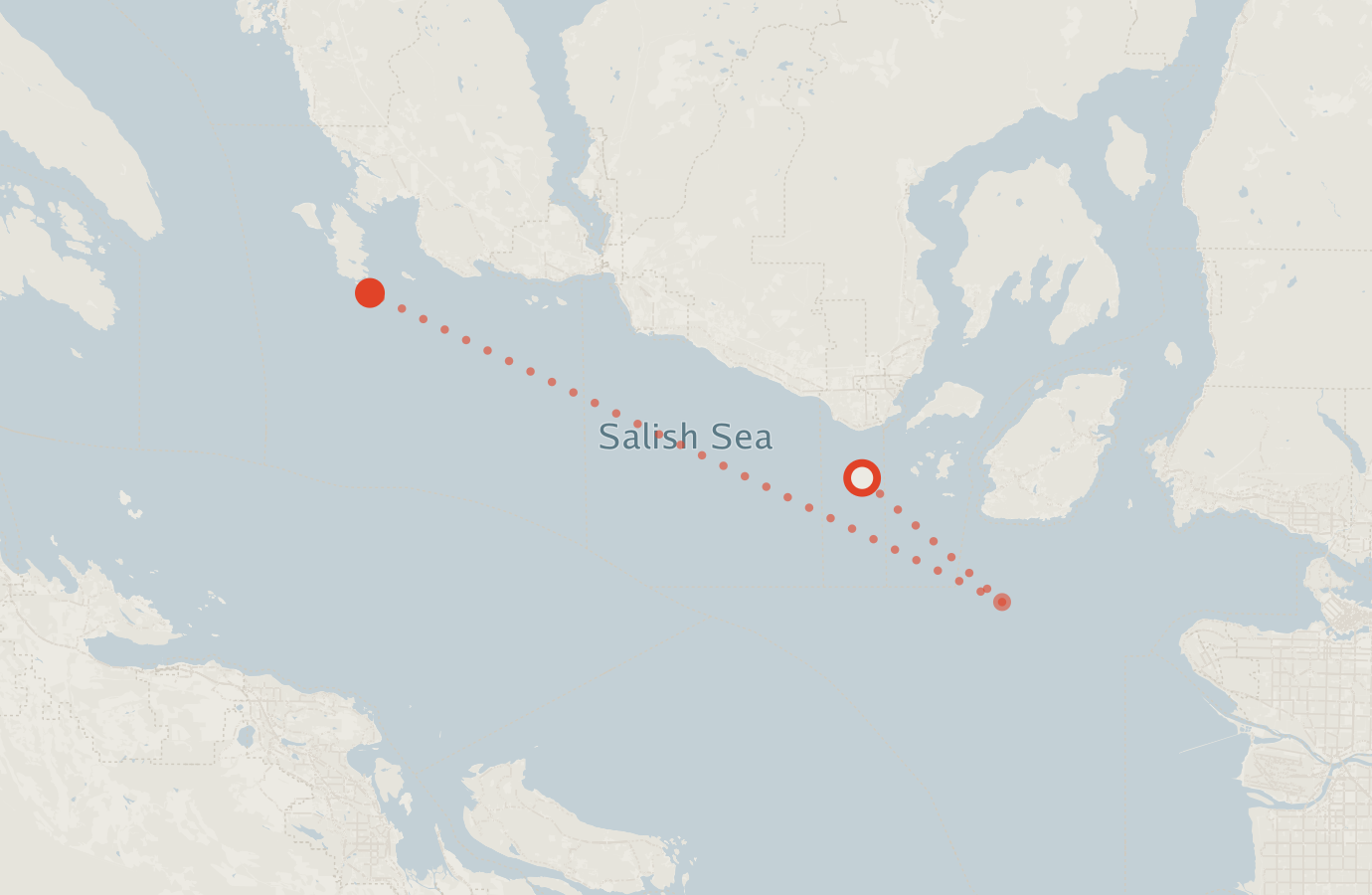 Activity map — real sighting points on an OpenStreetMap basemap