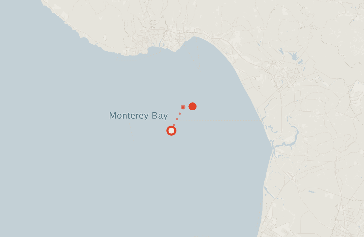 Activity map — real sighting points on an OpenStreetMap basemap