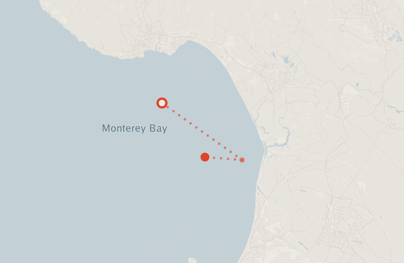 Activity map — real sighting points on an OpenStreetMap basemap