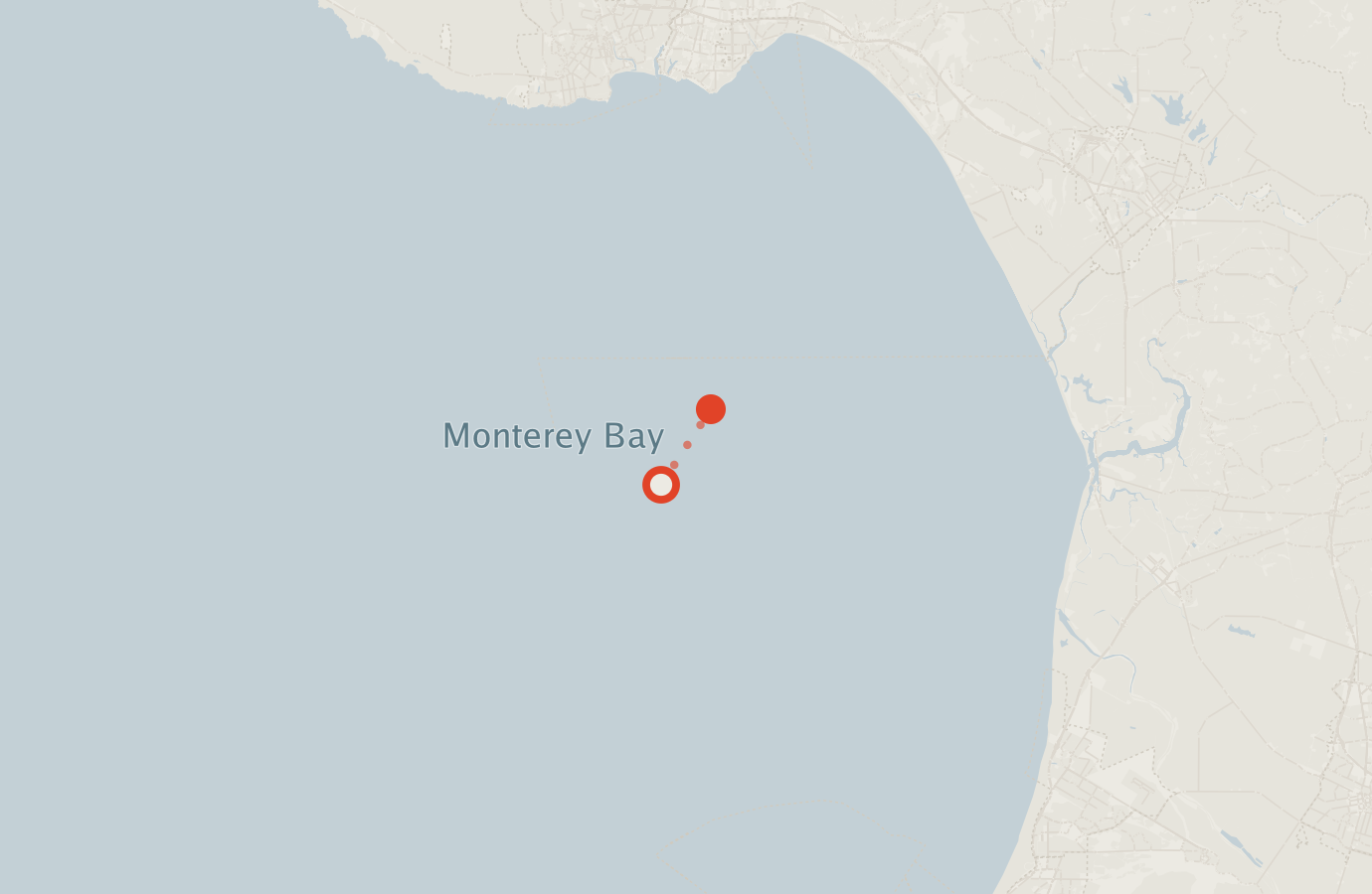Activity map — real sighting points on an OpenStreetMap basemap