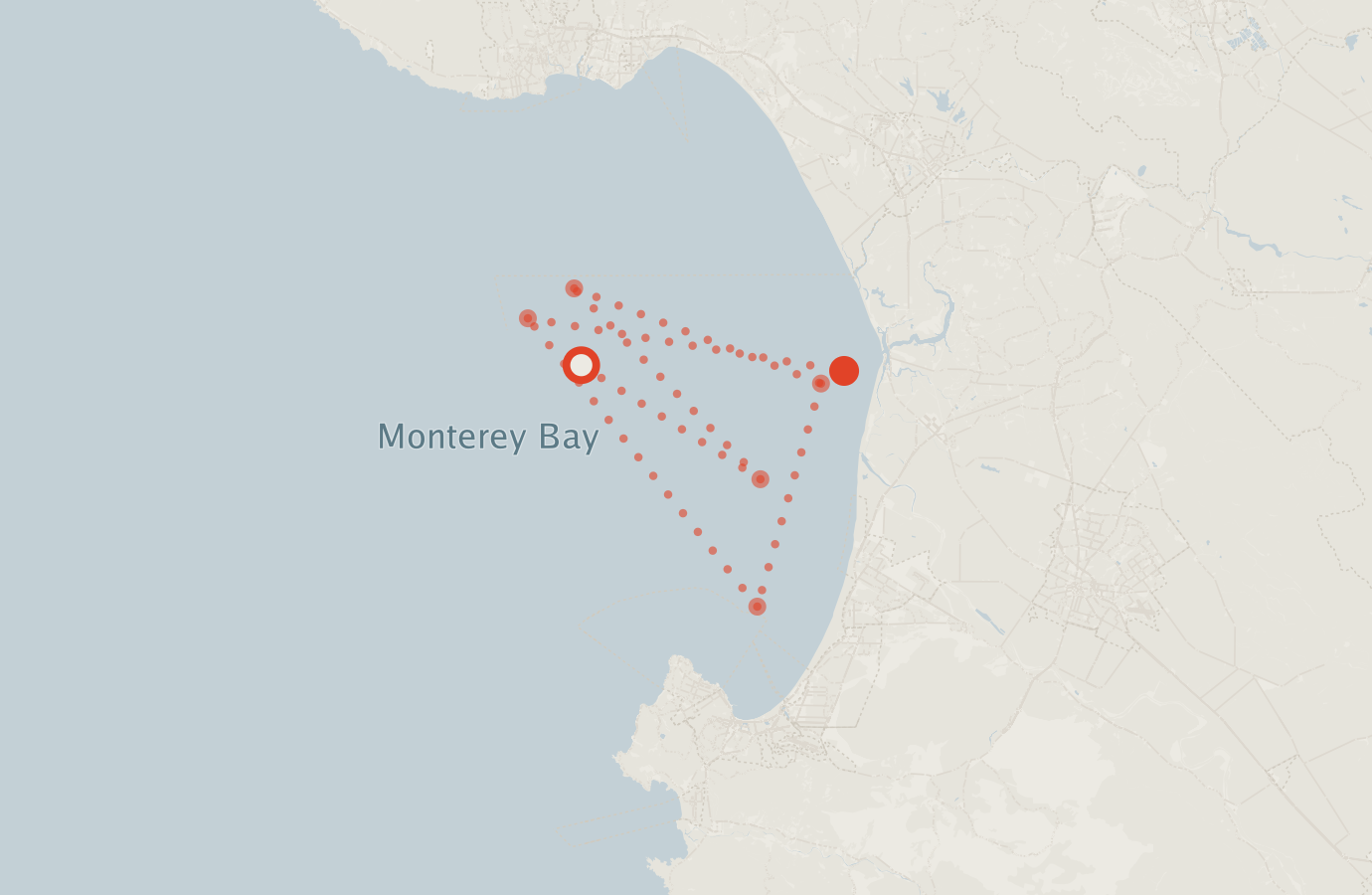 Activity map — real sighting points on an OpenStreetMap basemap
