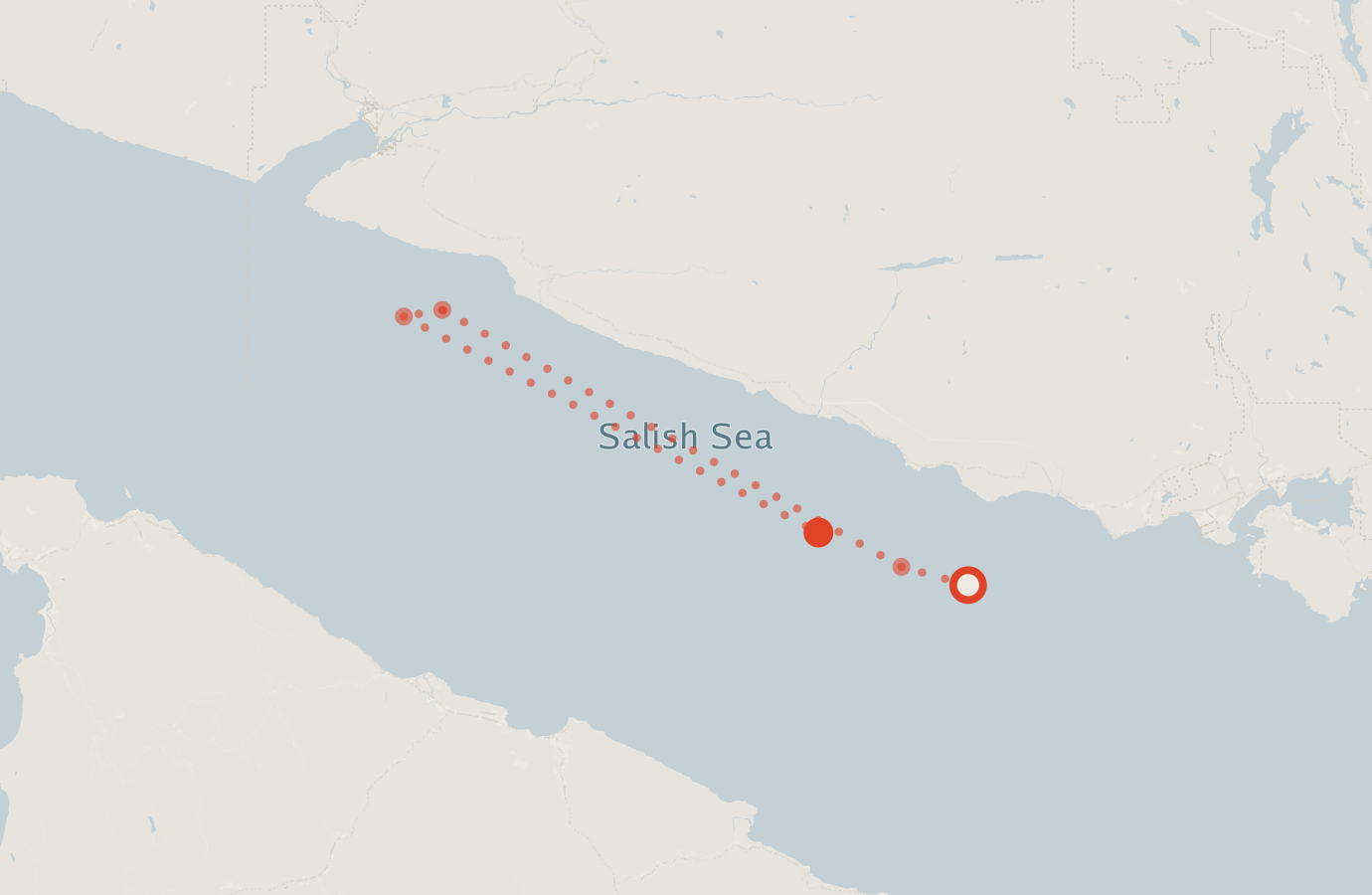 Activity map — real sighting points on an OpenStreetMap basemap