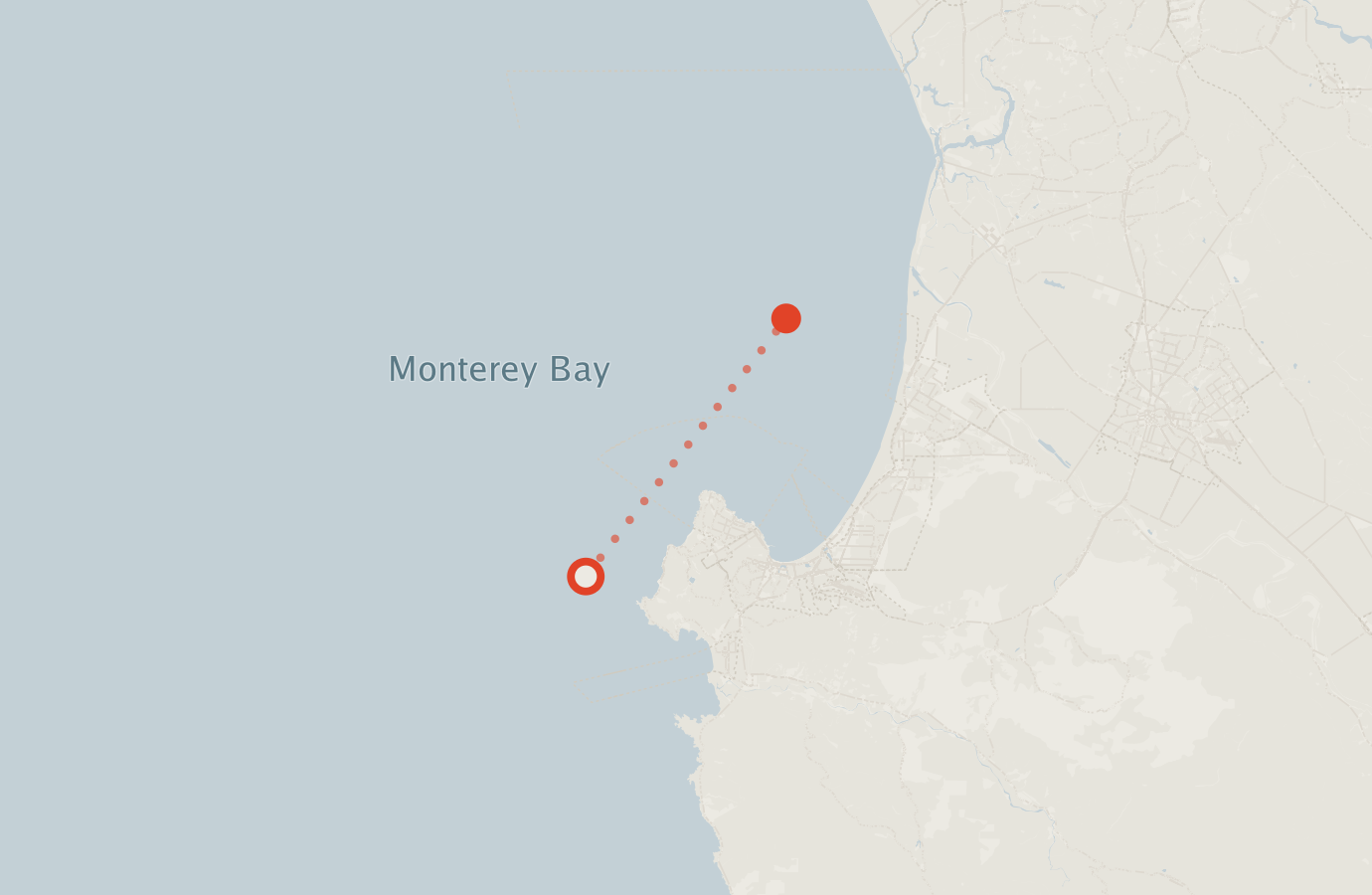 Activity map — real sighting points on an OpenStreetMap basemap