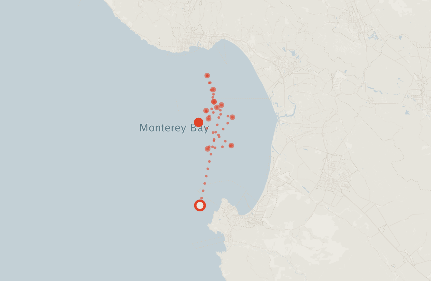 Activity map — real sighting points on an OpenStreetMap basemap