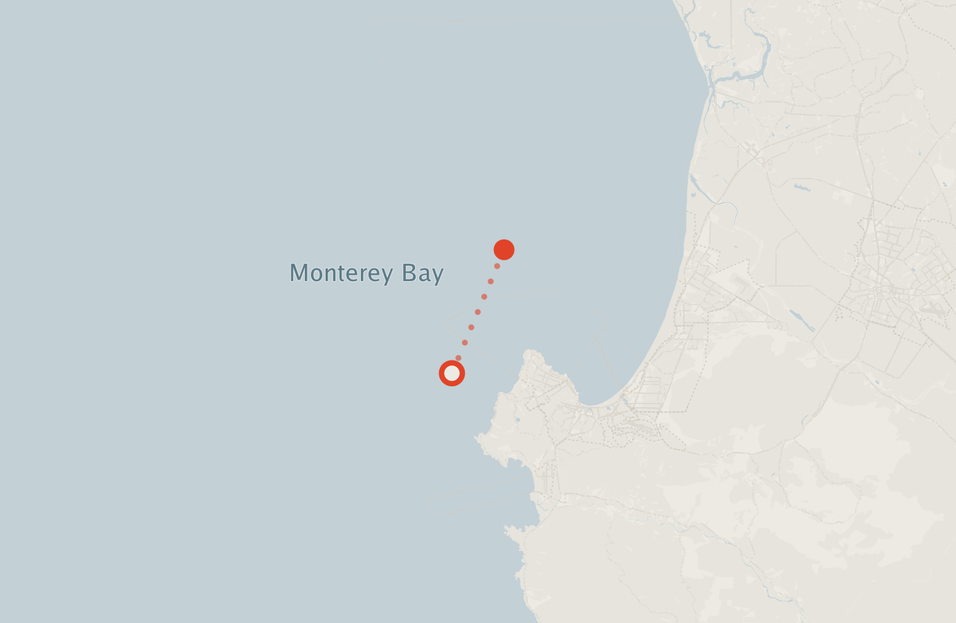 Activity map — real sighting points on an OpenStreetMap basemap