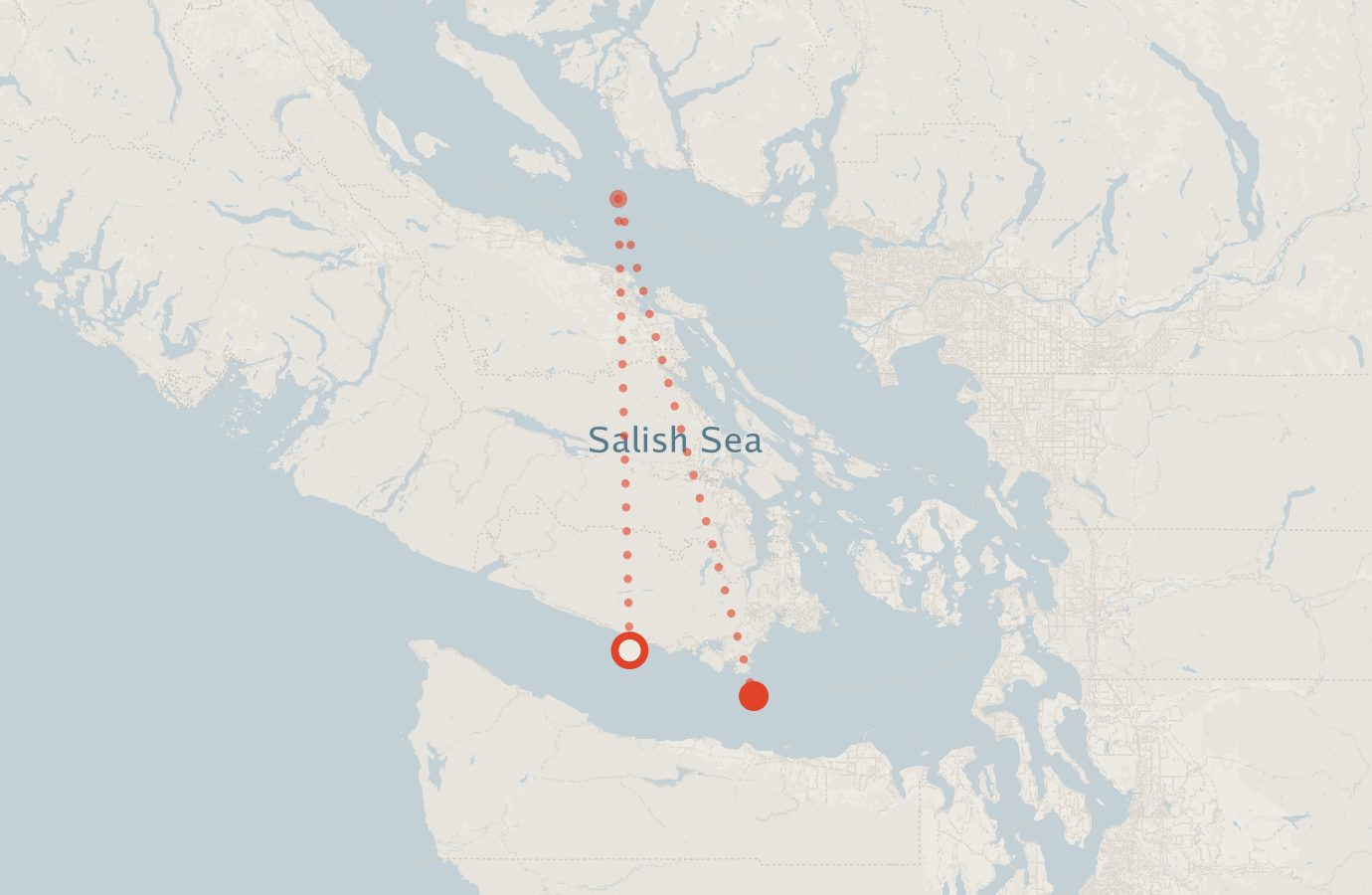 Activity map — real sighting points on an OpenStreetMap basemap