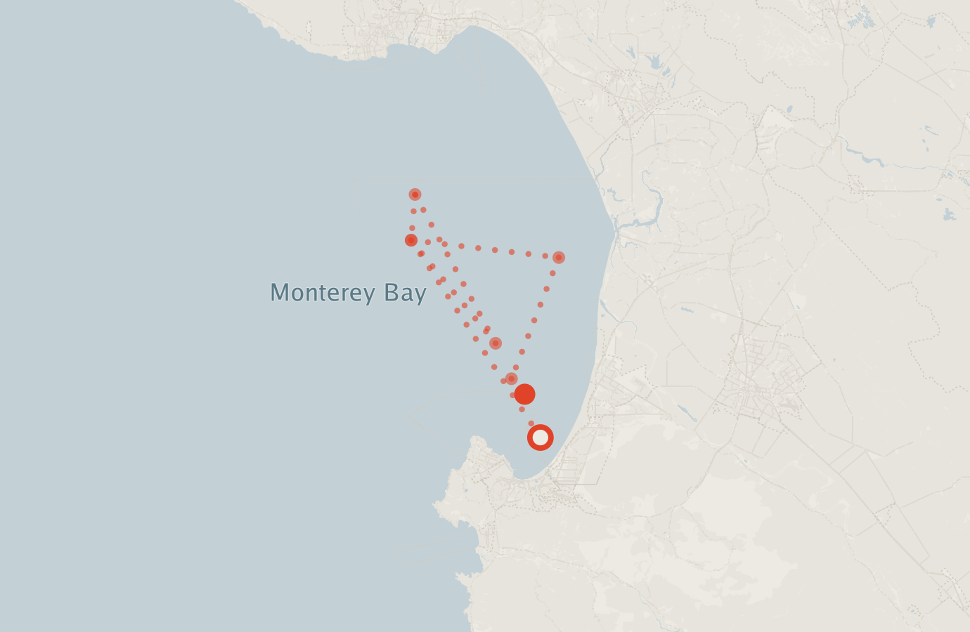 Activity map — real sighting points on an OpenStreetMap basemap
