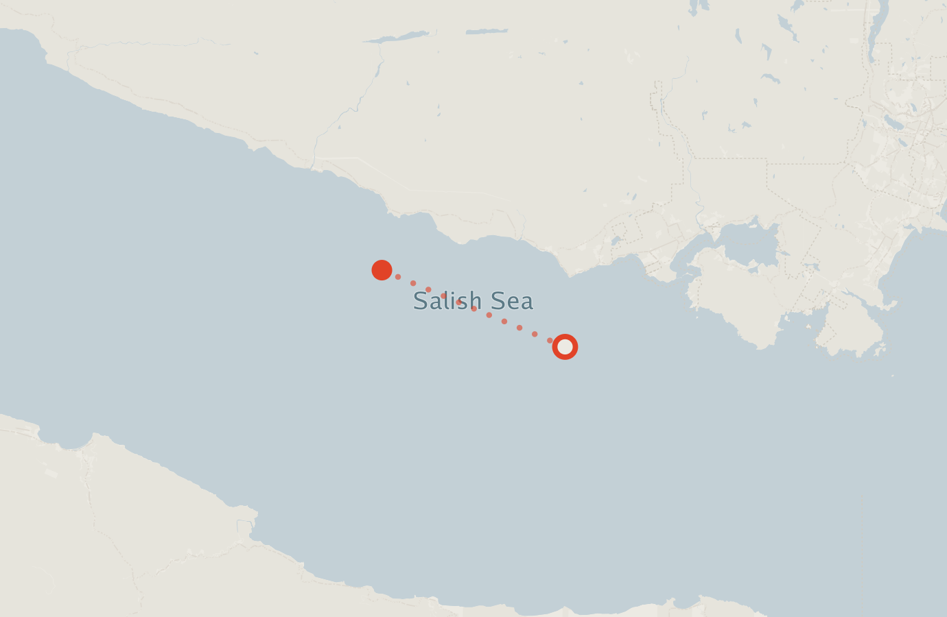 Activity map — real sighting points on an OpenStreetMap basemap