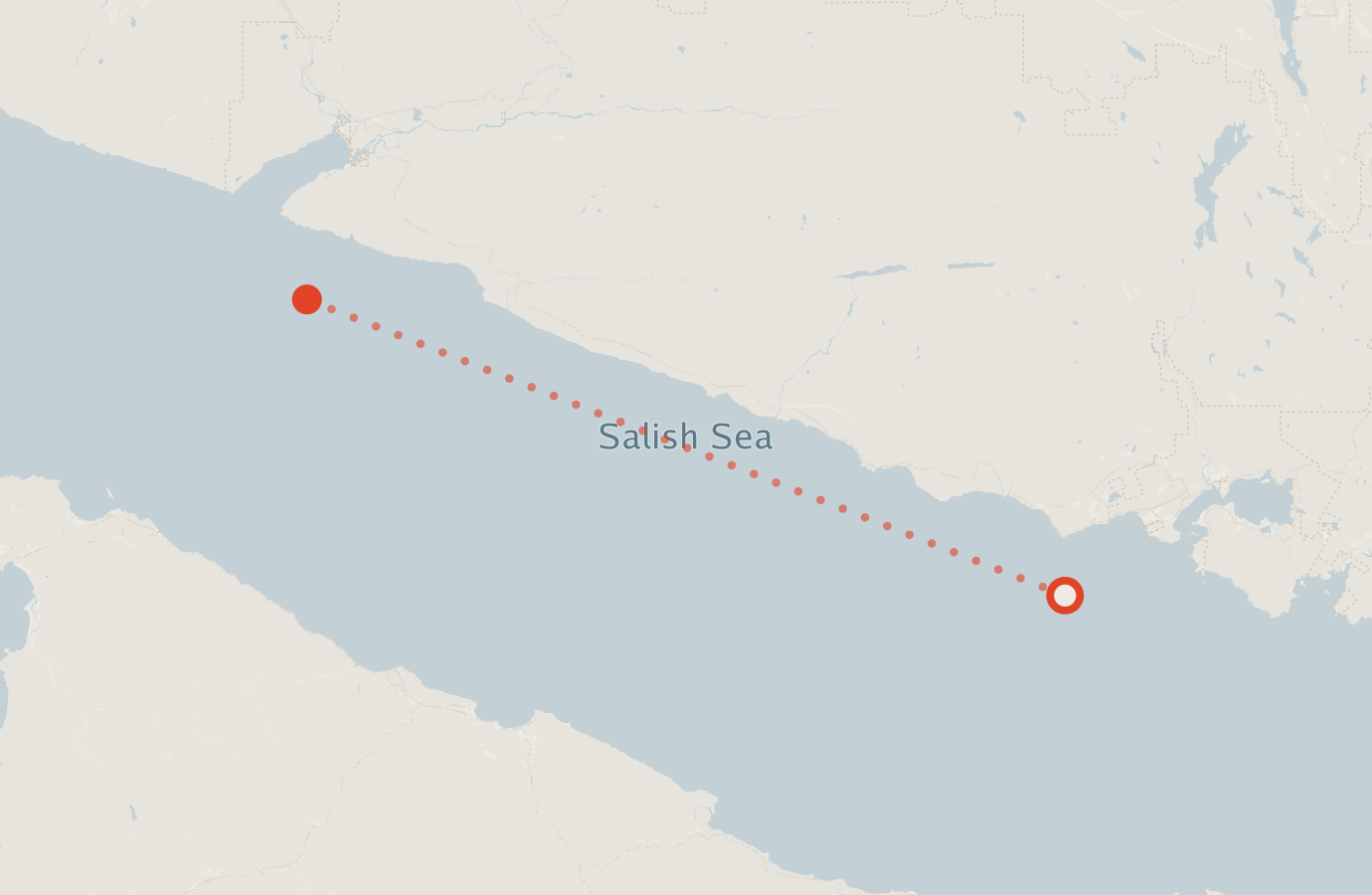 Activity map — real sighting points on an OpenStreetMap basemap