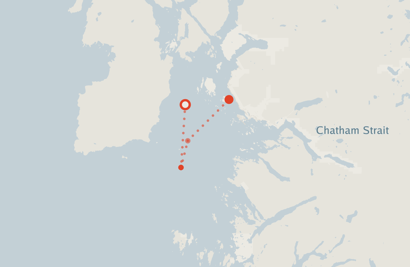 Activity map — real sighting points on an OpenStreetMap basemap