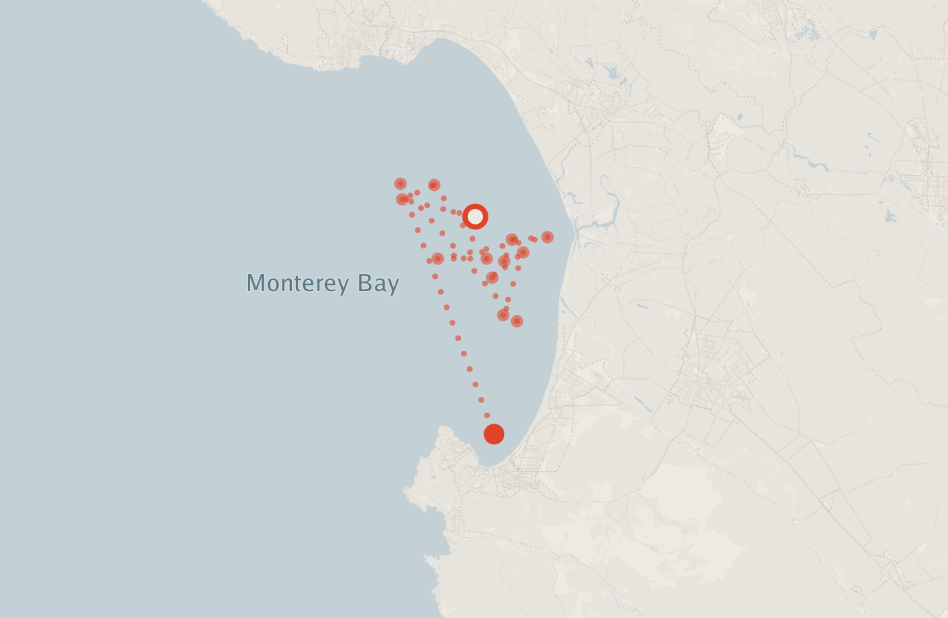 Activity map — real sighting points on an OpenStreetMap basemap