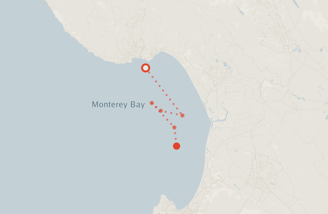 Activity map — real sighting points on an OpenStreetMap basemap