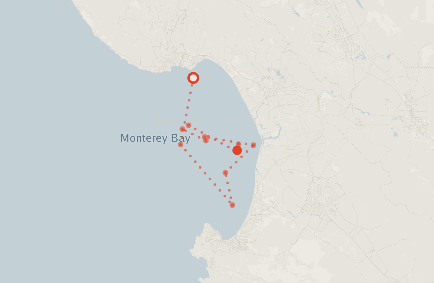 Activity map — real sighting points on an OpenStreetMap basemap