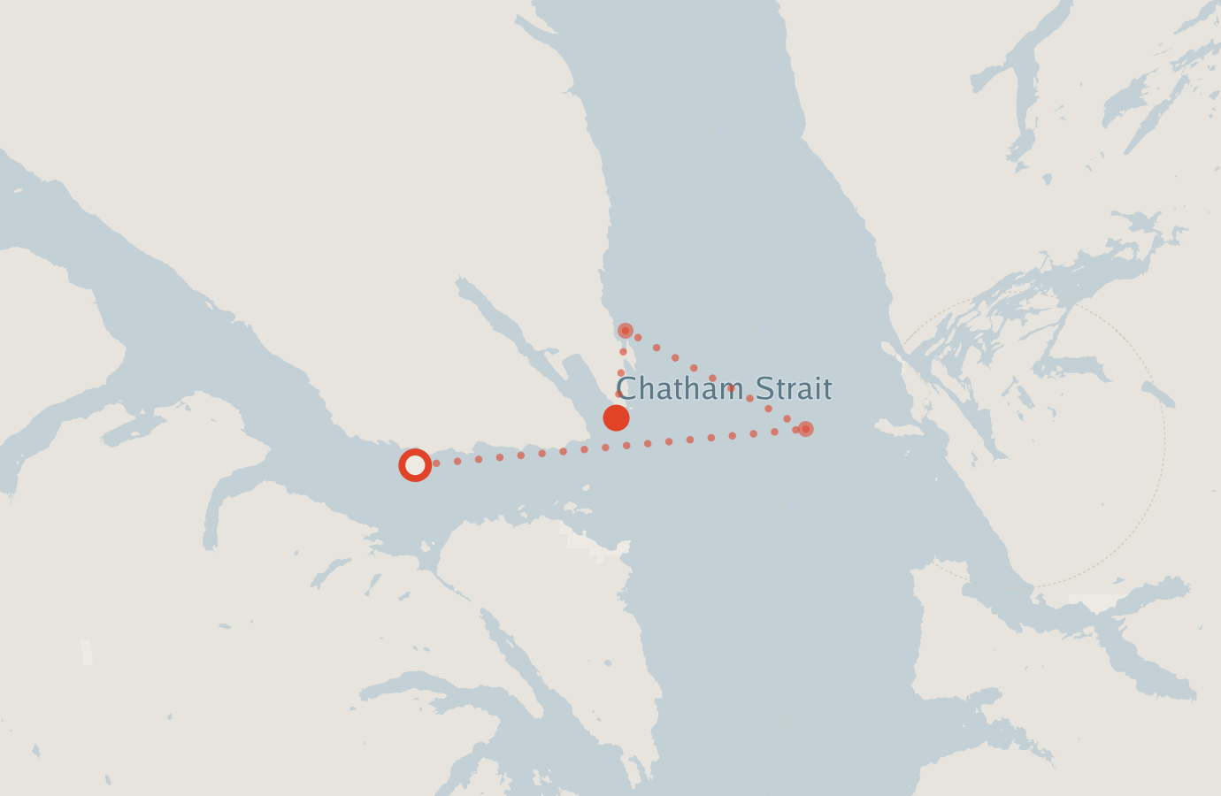 Activity map — real sighting points on an OpenStreetMap basemap