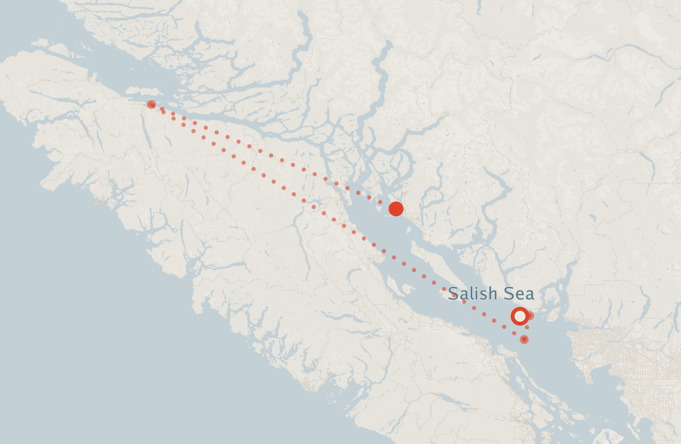 Activity map — real sighting points on an OpenStreetMap basemap