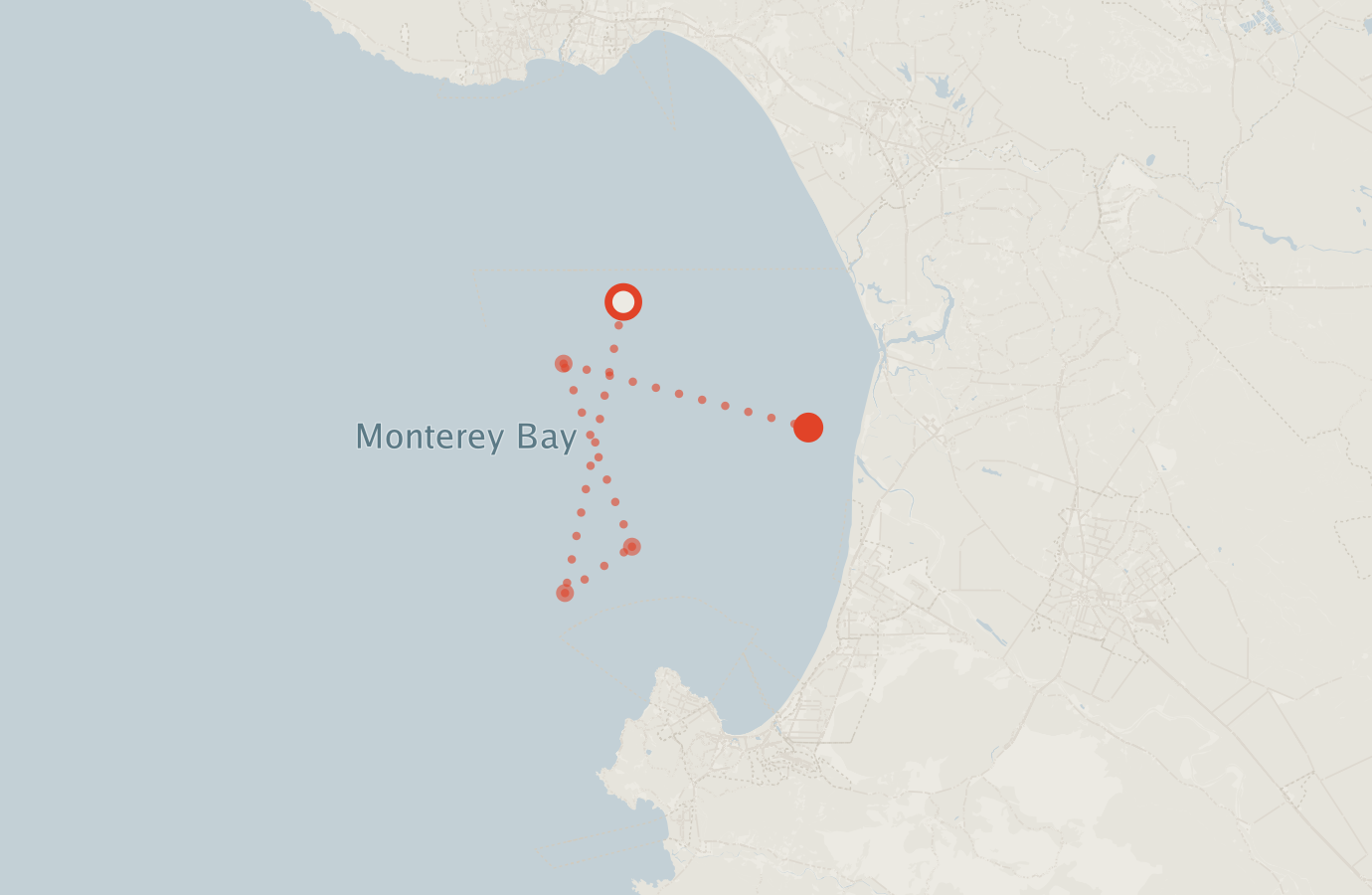 Activity map — real sighting points on an OpenStreetMap basemap