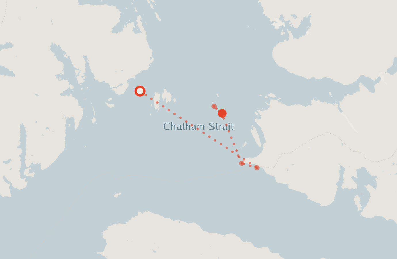 Activity map — real sighting points on an OpenStreetMap basemap