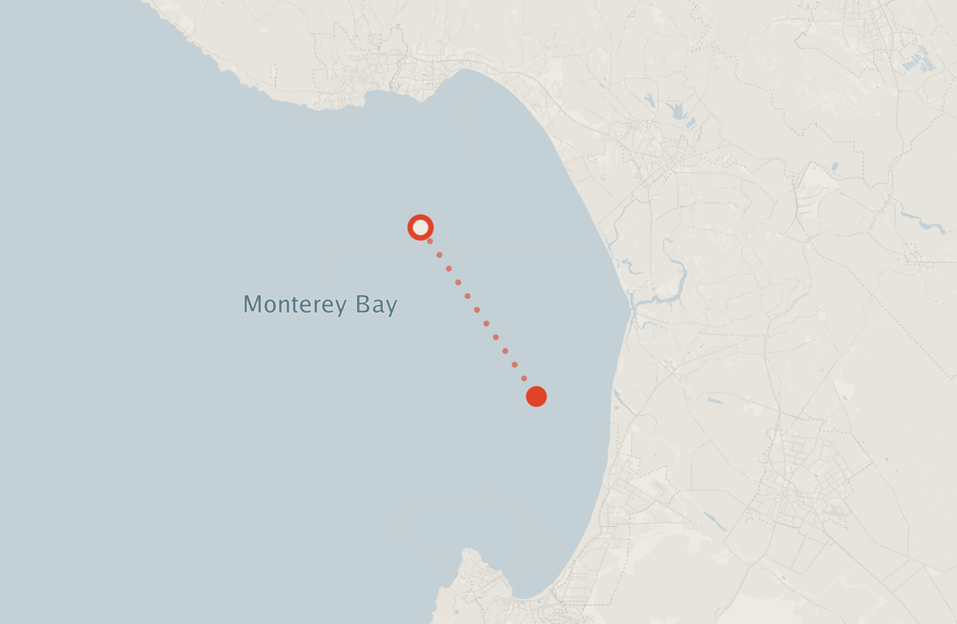 Activity map — real sighting points on an OpenStreetMap basemap